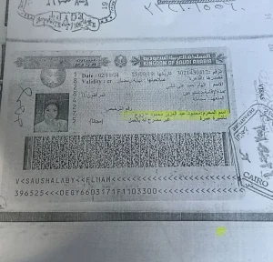 بوسي شلبي