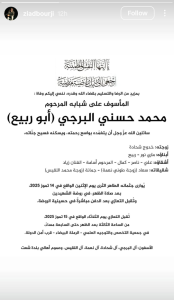 زياد برجي