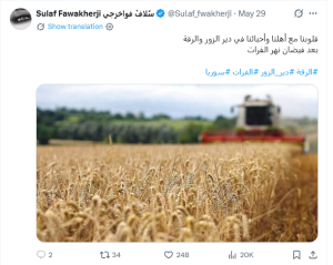 دير الزور