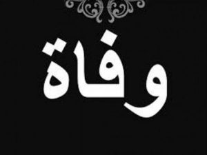 ممثلين مصريين