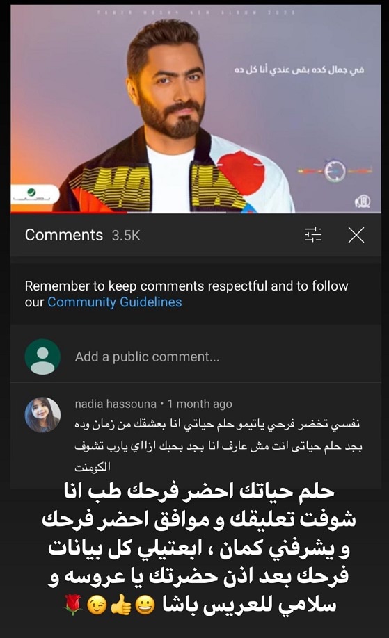 تامر حسني