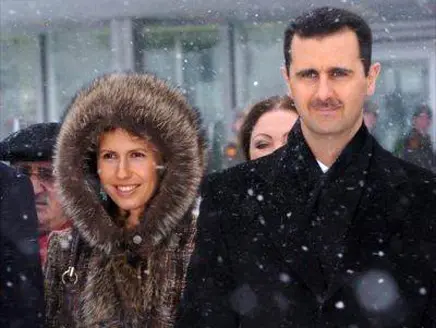 بشار