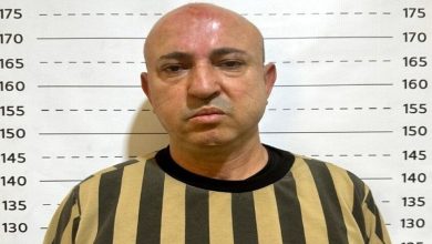 وسيم الاسد