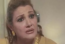 يوميات ونيس