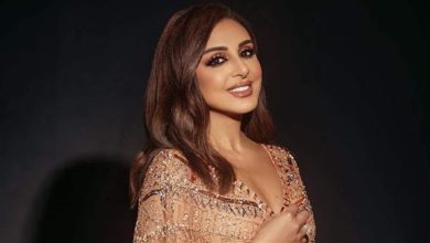 أنغام، محمود سعد