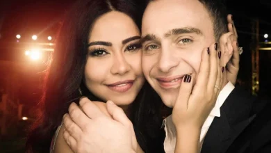 شيرين عبد الوهاب، حسام حبيب
