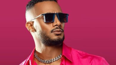محمد رمضان، راغب علامة