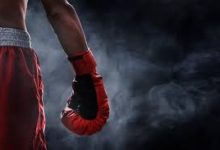 منظمة الملاكمة اليابانية