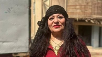 فريدة سيف النصر، مصر