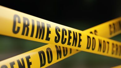 ماليسا موني