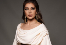 أنس نصري