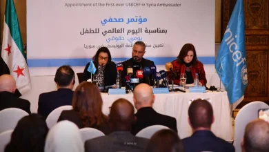 قيس الشيخ نجيب، سوريا