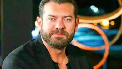 عمرو يوسف، دينا الشربيني