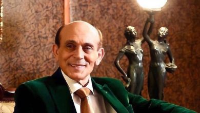 محمد صبحي، مصر