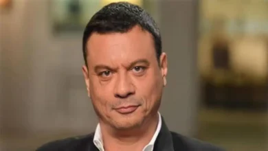 عباس أبو الحسن، مصر