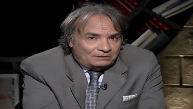 حمدي الوزير، مصر