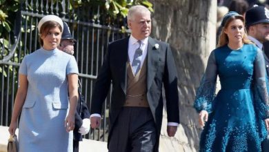 الامير اندرو