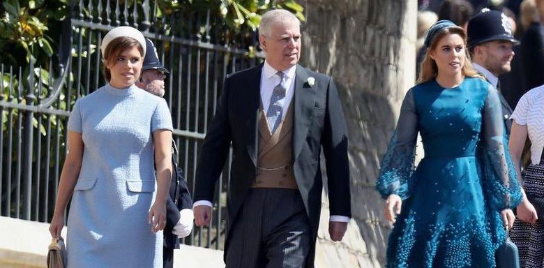 الامير اندرو