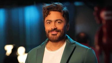 تامر حسني، مصر