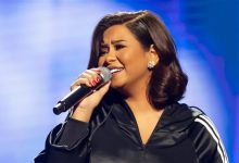 شيرين عبد الوهاب، حسام حبيب