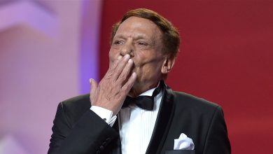 عادل امام، مصر