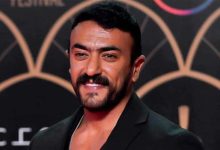 أحمد العوضي، مصر