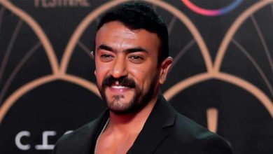 أحمد العوضي، مصر