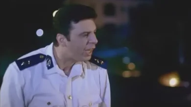 طارق الأمير، مصر