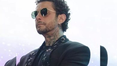 أحمد الفيشاوي، مصر