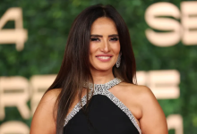 زينا واحمد عز