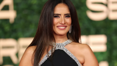 زينا واحمد عز