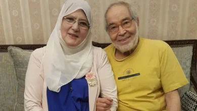 شمس البارودي