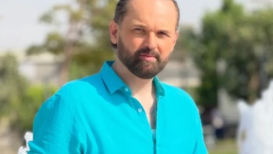 محمد محمود عبد العزيز