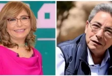 لميس الحديدي