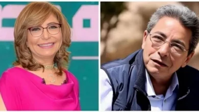 لميس الحديدي