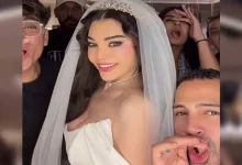هيفاء وهبي