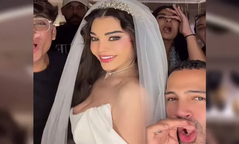 هيفاء وهبي
