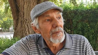 هادي عباس