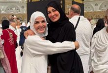 حلا شيحة